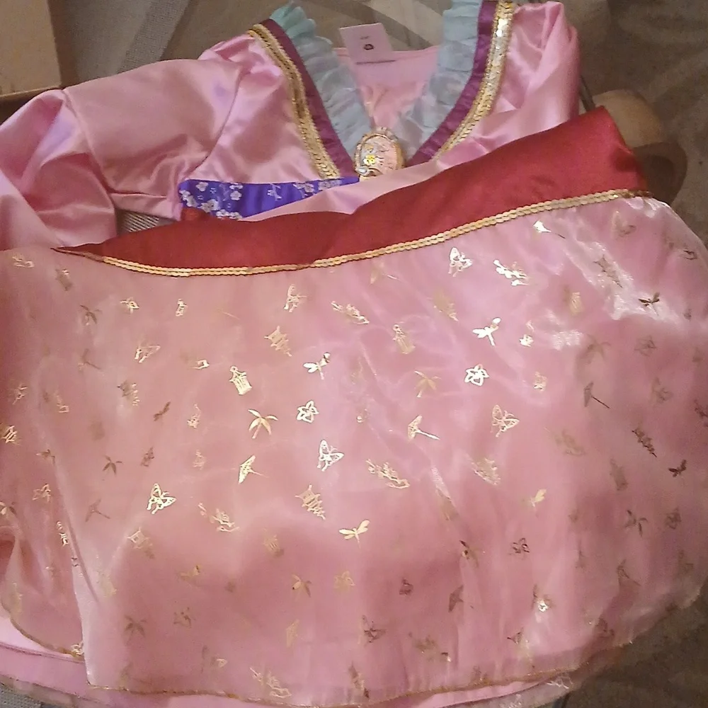 Disney Princess Mulan Dress Costume